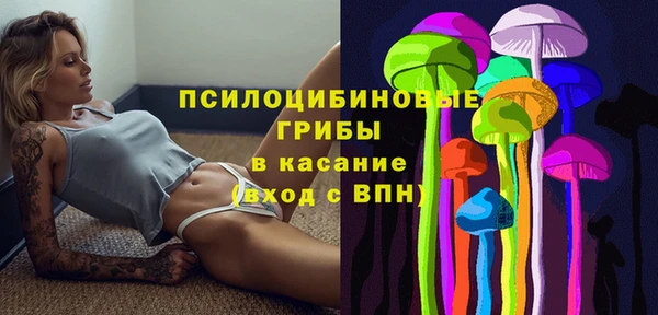 винт Алексин