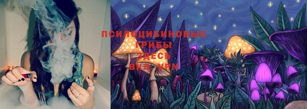 СК Алексеевка