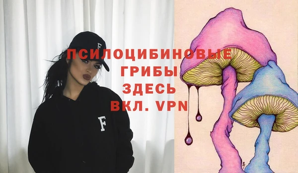 СК Алексеевка